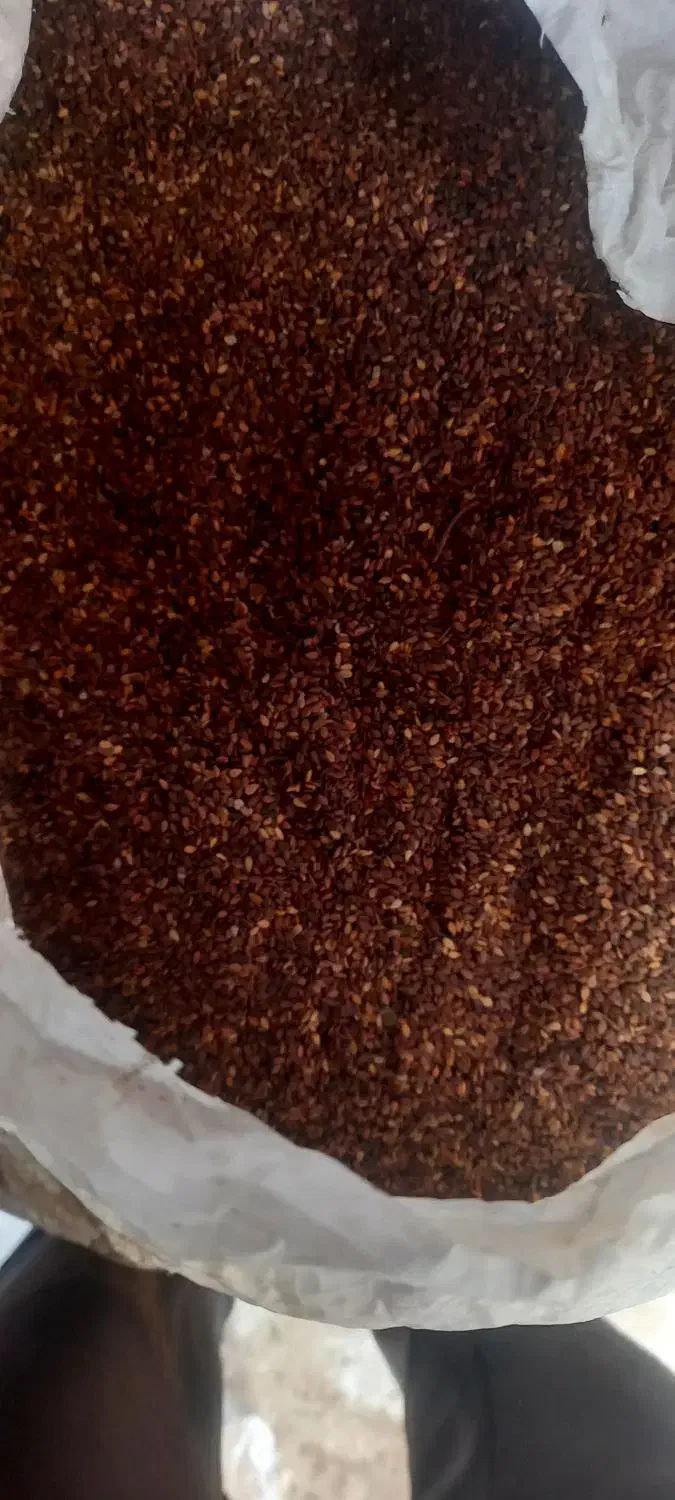 کنجد تمیز به شرط وخشک|خوردنی و آشامیدنی|حمیدیه, |دیوار