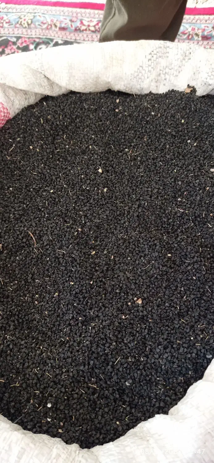 بذر پیاز قرمز|گل و گیاه طبیعی|آشخانه, |دیوار