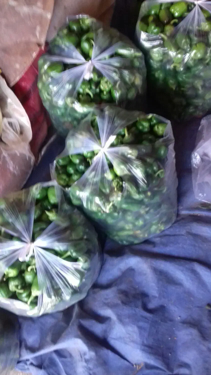 دلمه سبز|خوردنی و آشامیدنی|بهار, |دیوار