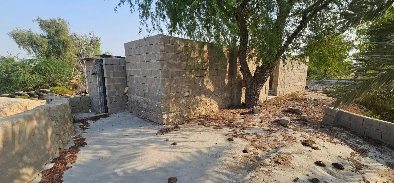 تصویر 2