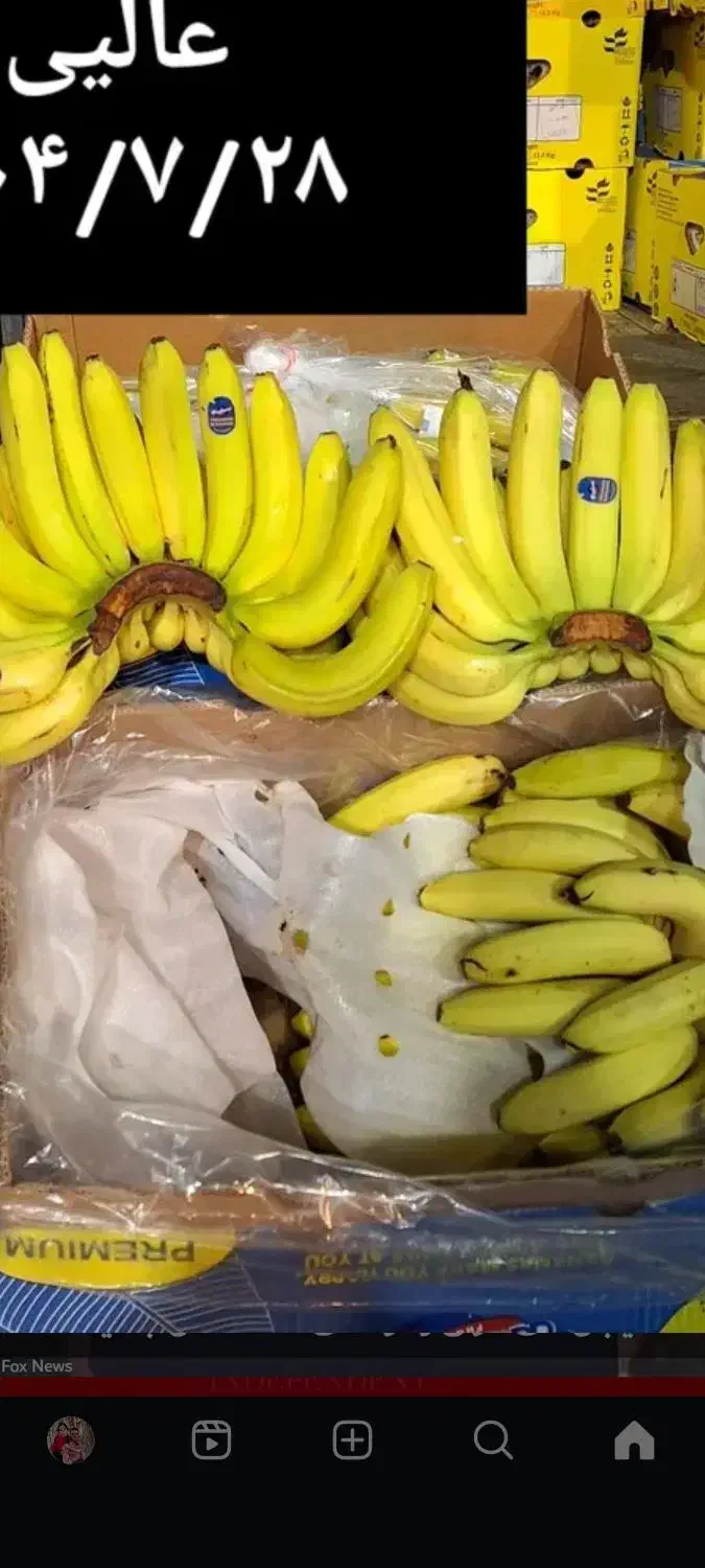 موز|عمدهفروشی|الوند, |دیوار