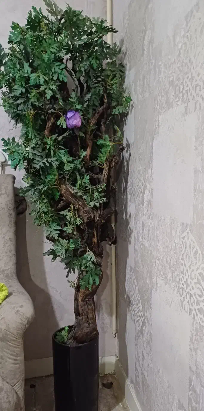 درخچه مصنوعی|گل مصنوعی|اهواز, فاز ۱ پادادشهر|دیوار