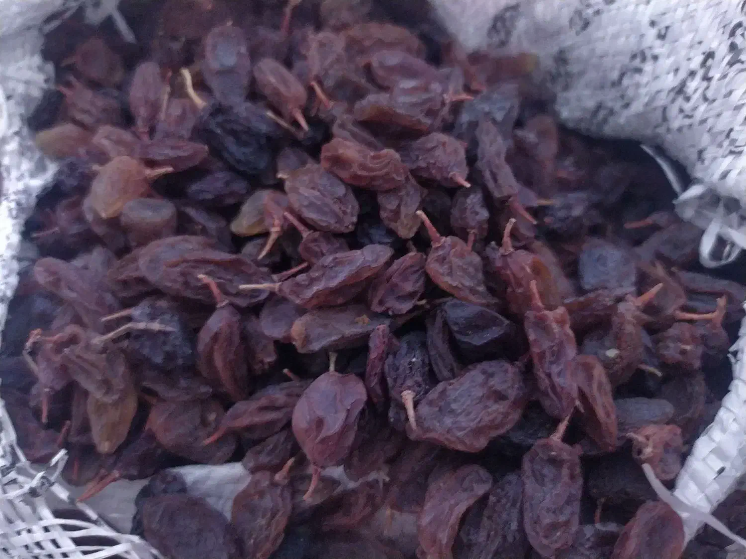 کشمش بدون هسته و بدون تیزاب|خوردنی و آشامیدنی|کرمانشاه, |دیوار