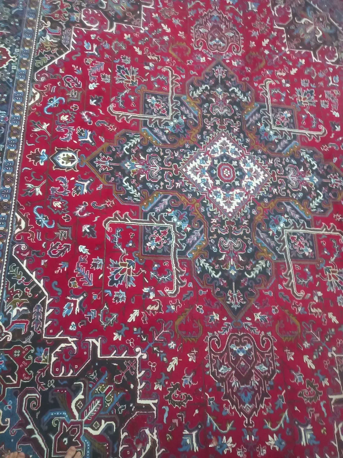 فرش ۱۲ متری|فرش|زنجان, |دیوار