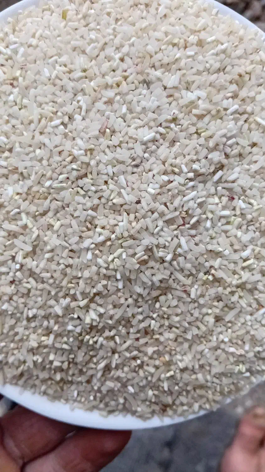 نیم دانه فجر|خوردنی و آشامیدنی|خان ببین, |دیوار