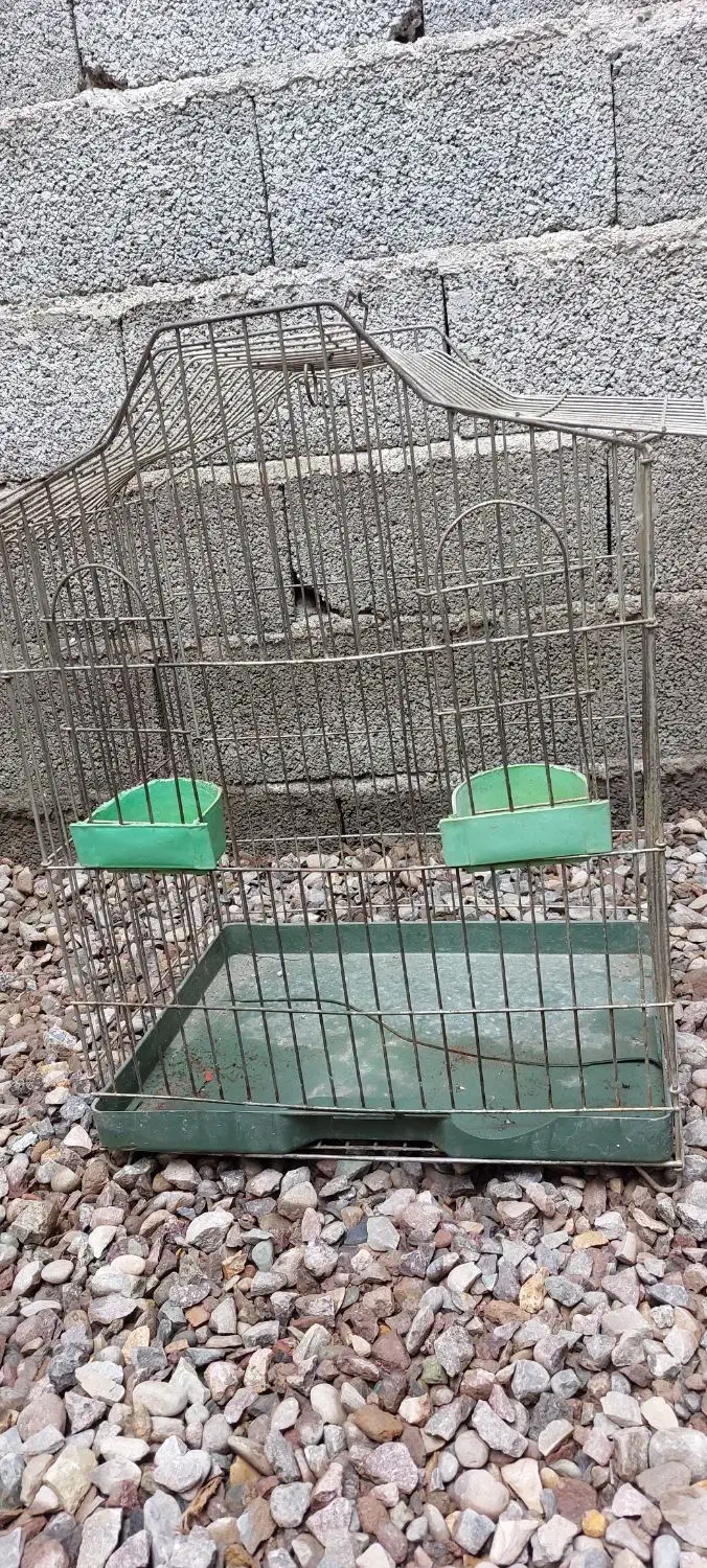 قفس|لوازم جانبی حیوانات|رشت, نامجو|دیوار