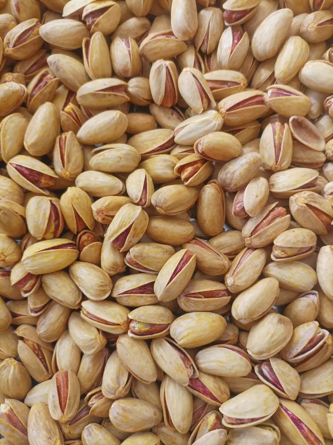 پسته اکبری درشت زربار برای شب یلدا|خوردنی و آشامیدنی|شاهین‌شهر, شهرک گلدیس|دیوار