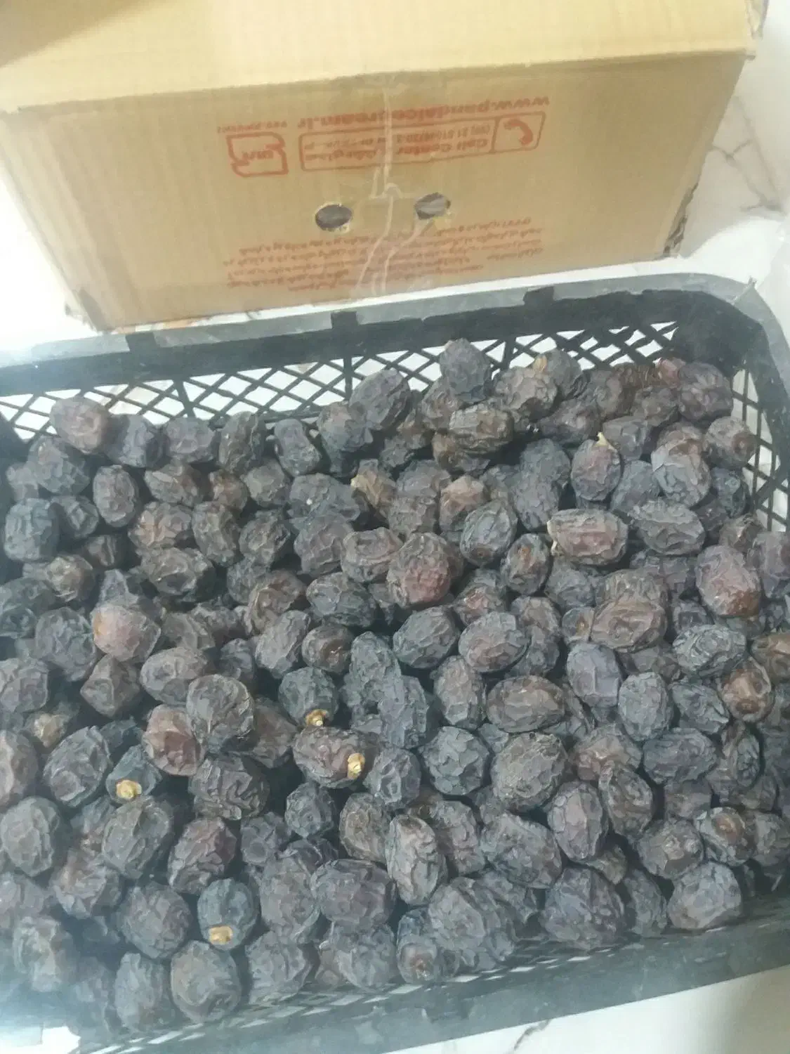 خرید فروش خرما|خوردنی و آشامیدنی|داراب, |دیوار