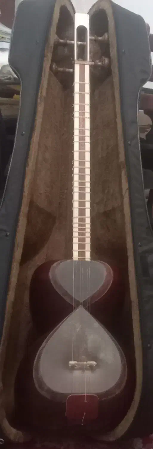 تار خوش صدا علیاری|سازهای سنتی|تهران, بهداشت|دیوار