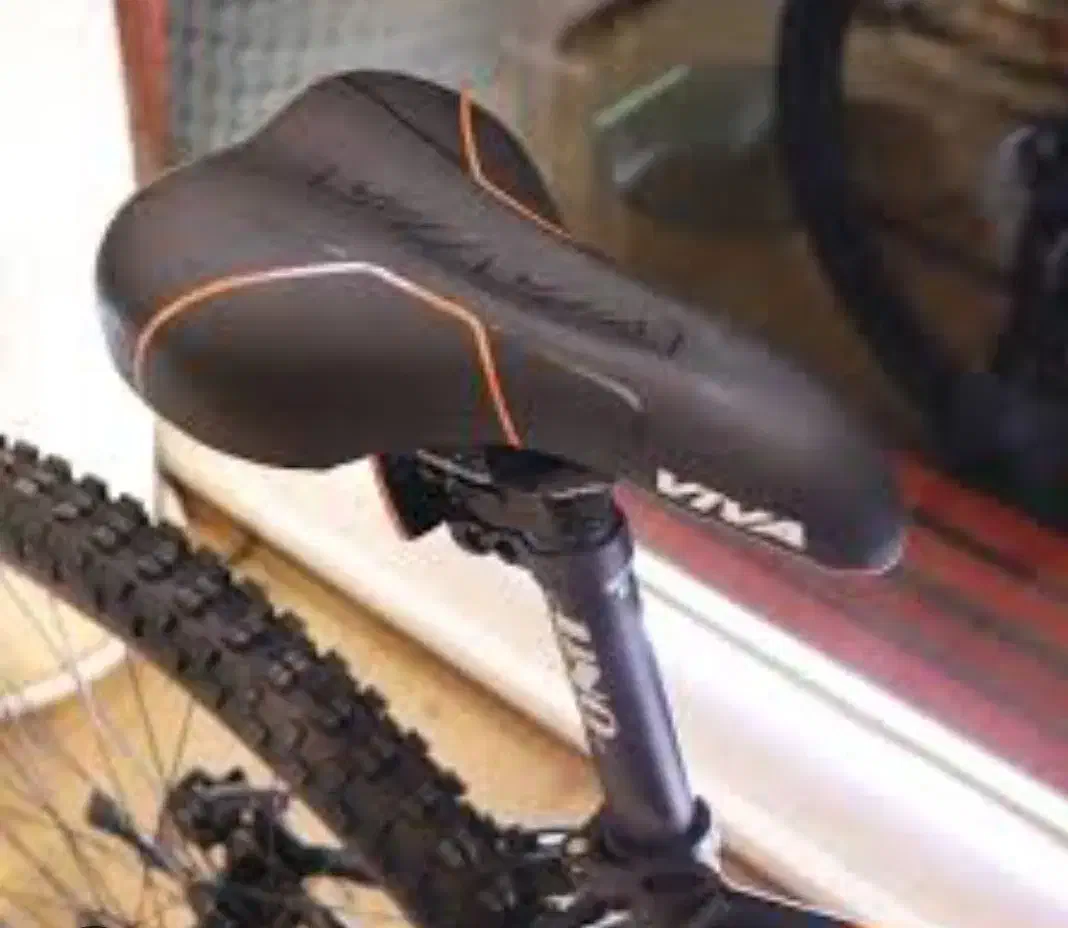 دوچرخه ویوا حرفه ای ۸دنده|دوچرخه، اسکیت، اسکوتر|شاهینشهر, گرگاب|دیوار