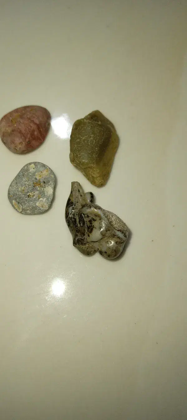 سنک راف طبیعت.وقدرت خداوند|کلکسیون و سرگرمی|رشت, پسیخان|دیوار