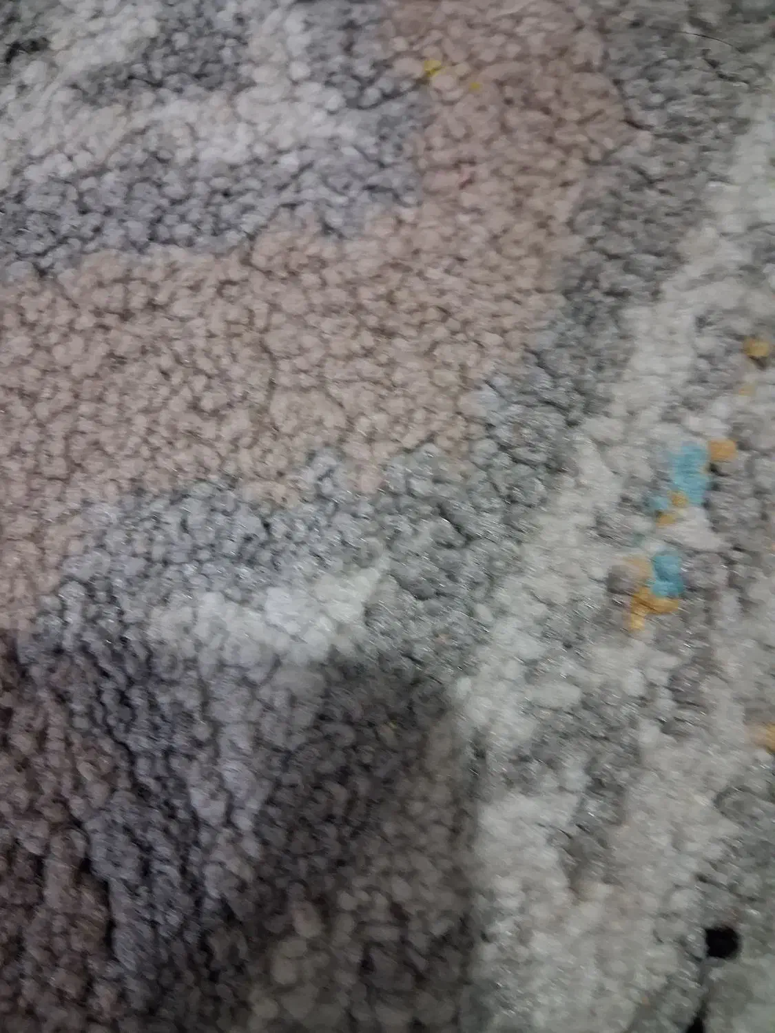 کفتر رنگی|پرنده|سرخنکلاته, |دیوار