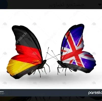 آموزش انگلیسی و آلمانی|خدمات آموزشی|بوشهر, |دیوار