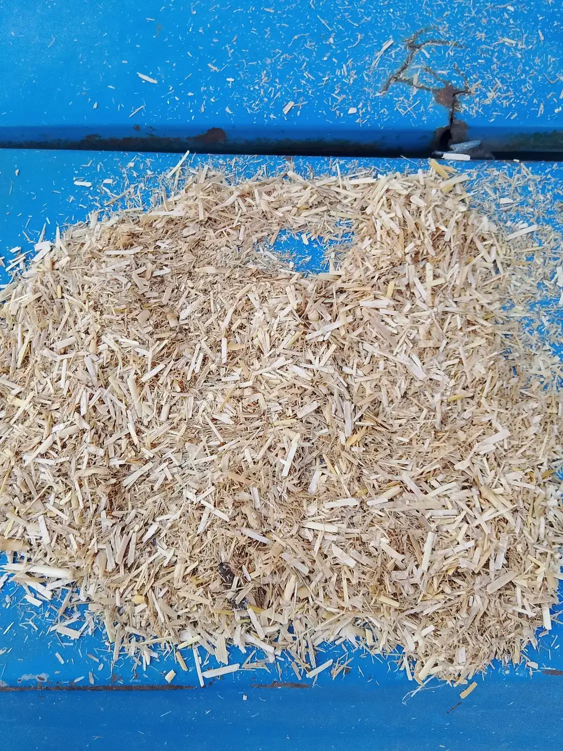 کاه کوبیده گندم.خارشتر. .کمل شالی.سبوس|لوازم جانبی حیوانات|گنبد کاووس, |دیوار