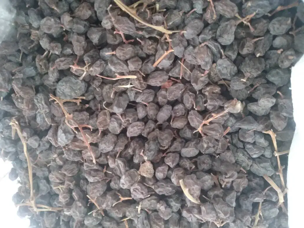 کشمش مویز آفتابی|خوردنی و آشامیدنی|نجفآباد, حومه نجف آباد|دیوار