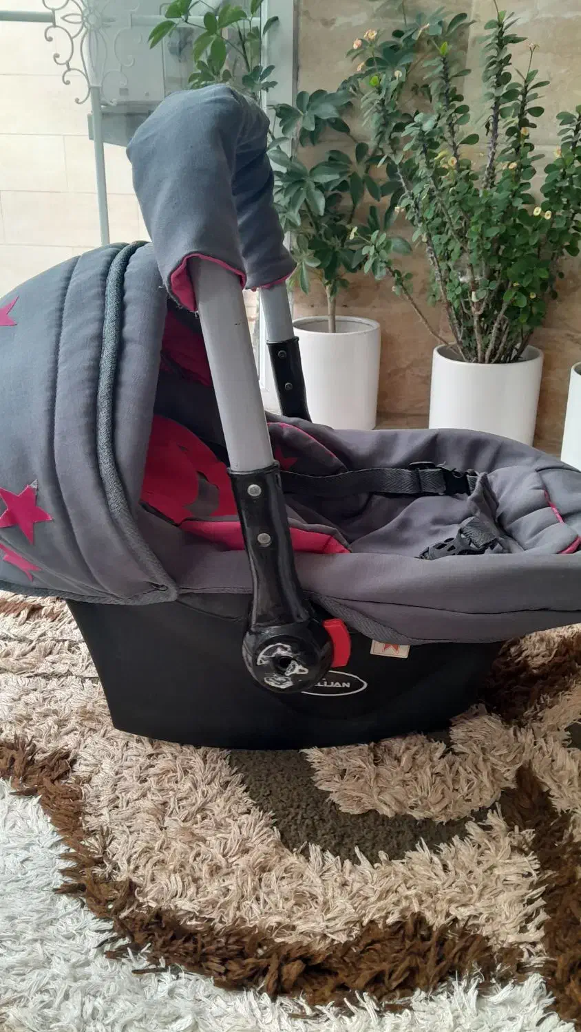 کریر (دلیجان) سالم|کالسکه و لوازم جانبی|رشت, کوی بیانی|دیوار