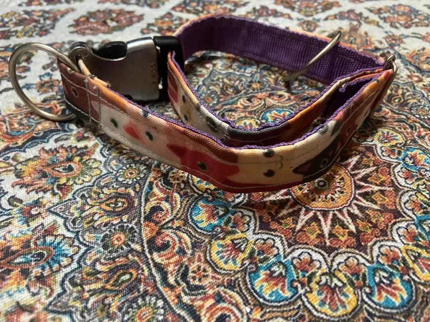 قلاده سگ|لوازم جانبی حیوانات|رشت, جانبازان|دیوار