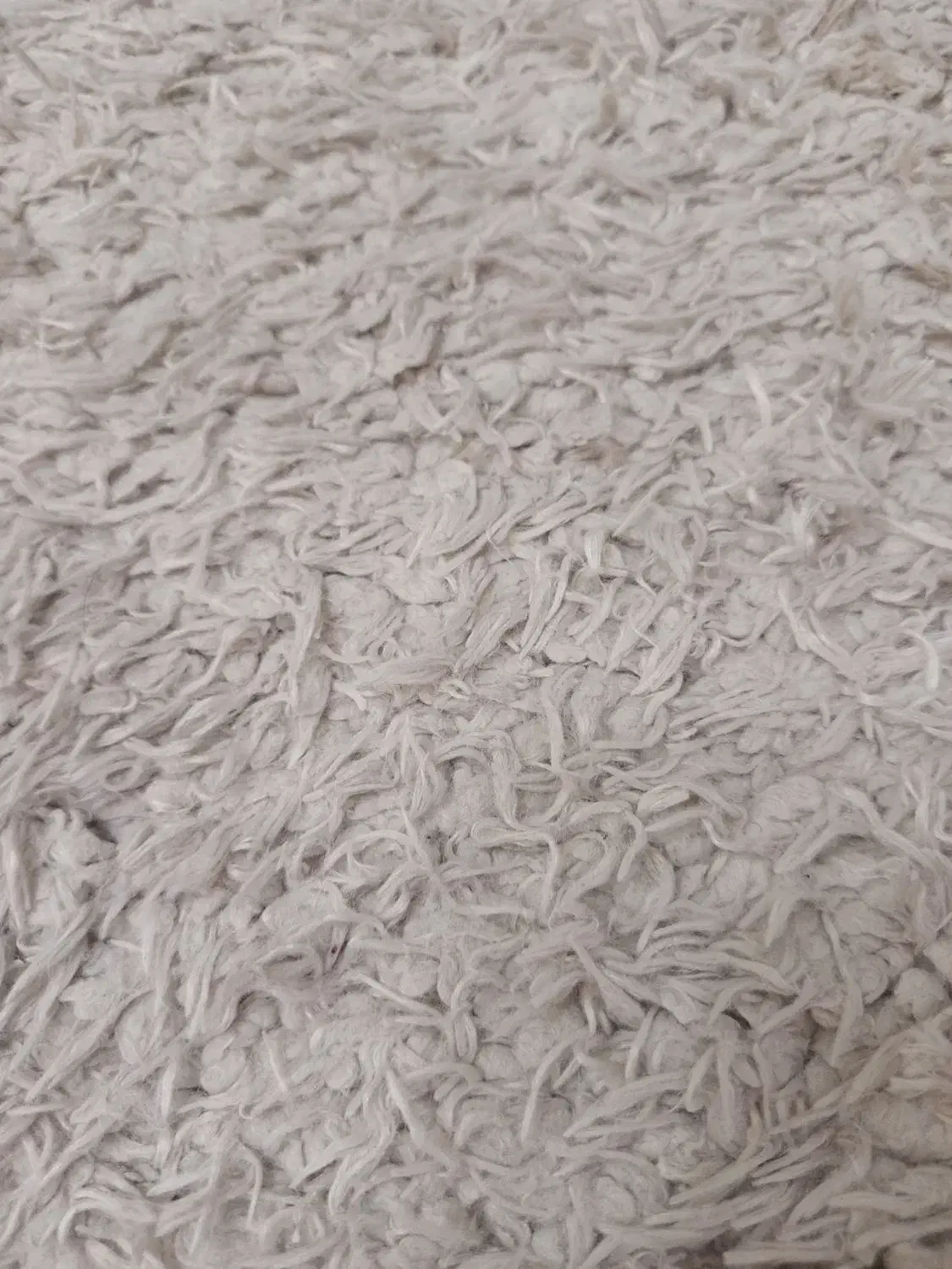 فرش شگی بدون پارگی|فرش|گلبهار, شهر جدید گلبهار|دیوار