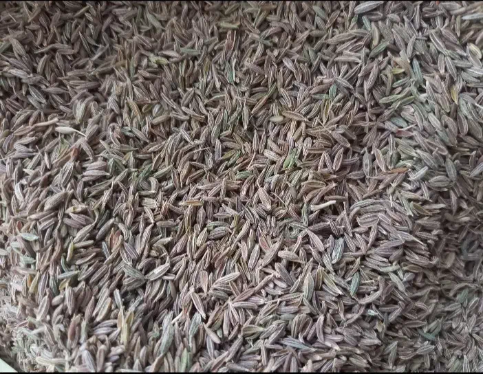 زیره سبز|عمده‌فروشی|قائن, |دیوار