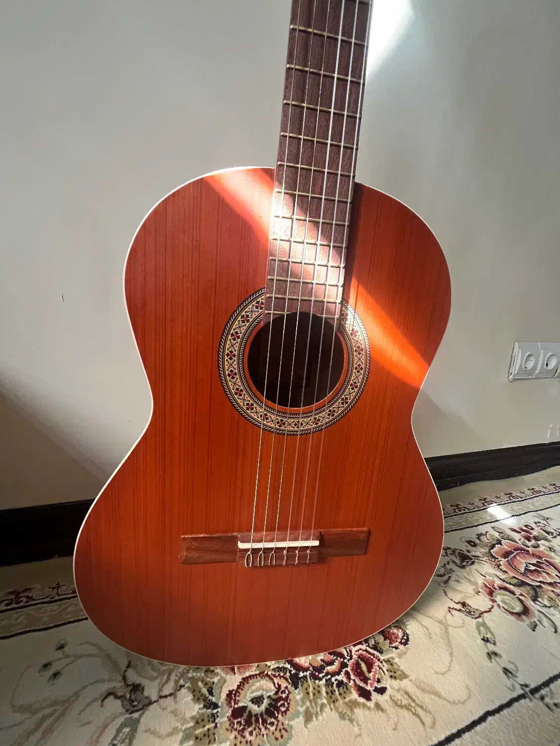 گیتار m6|گیتار، بیس، امپلیفایر|بندرعباس, |دیوار