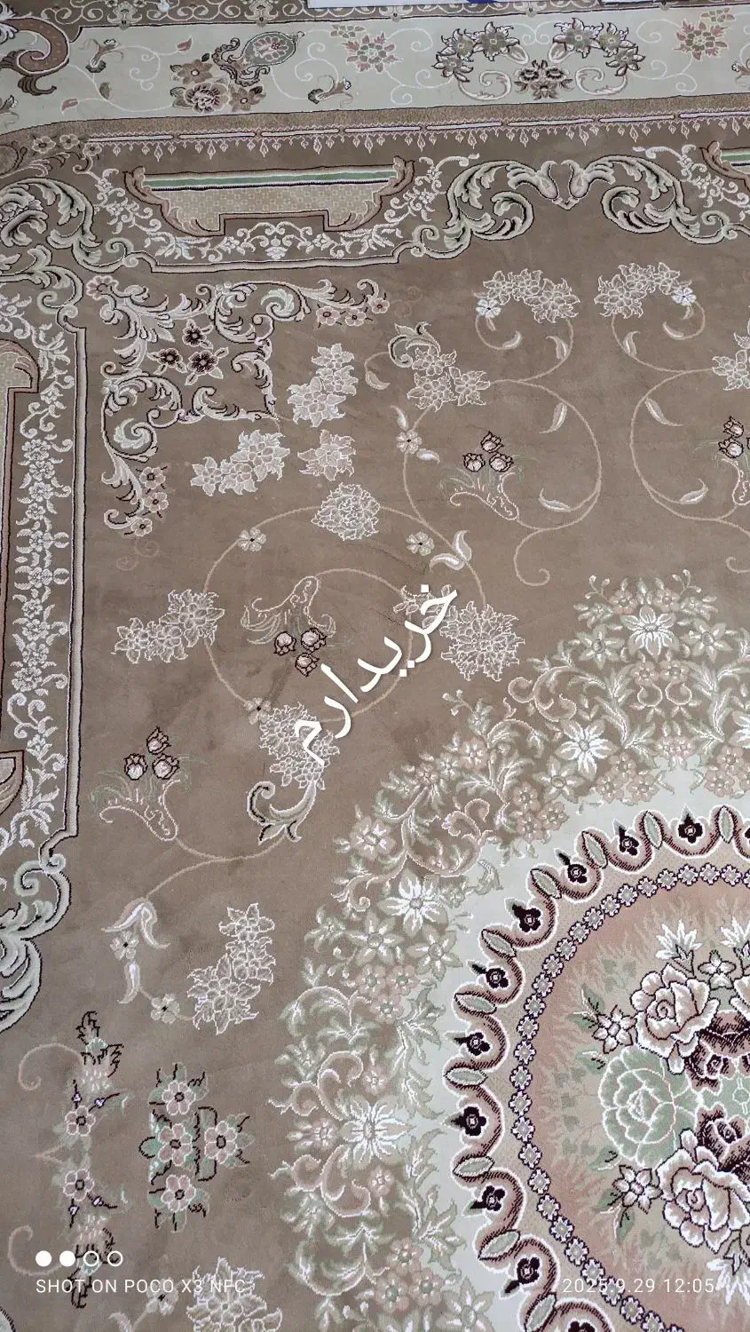 فرش ۱۲ متری گردویی|فرش|قم, باغ کرباسی|دیوار