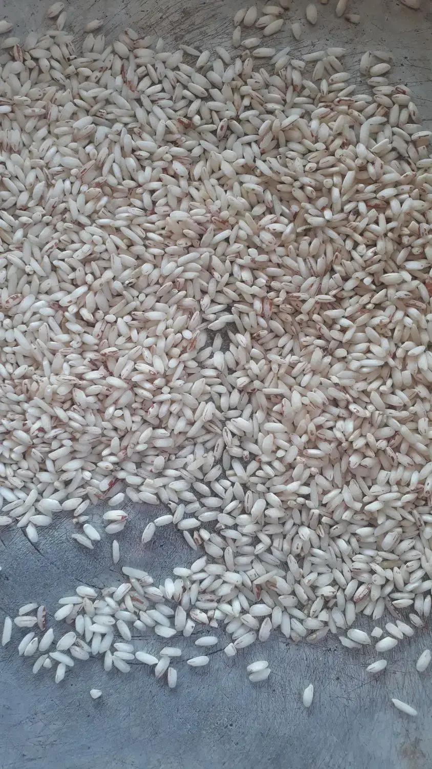 برنج قلوه|خوردنی و آشامیدنی|گوراب زرمیخ, |دیوار