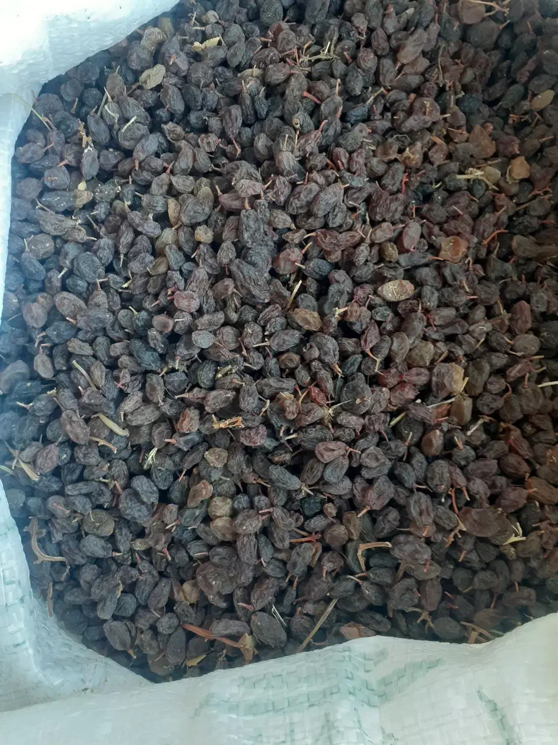 کشمش آفتابی|خوردنی و آشامیدنی|ملایر, |دیوار