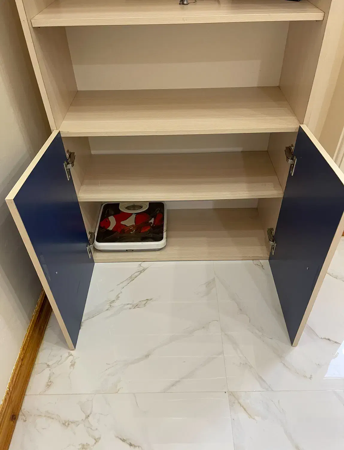 کتابخانه سالم|کتابخانه، شلف، قفسههای دیواری|آمل, |دیوار