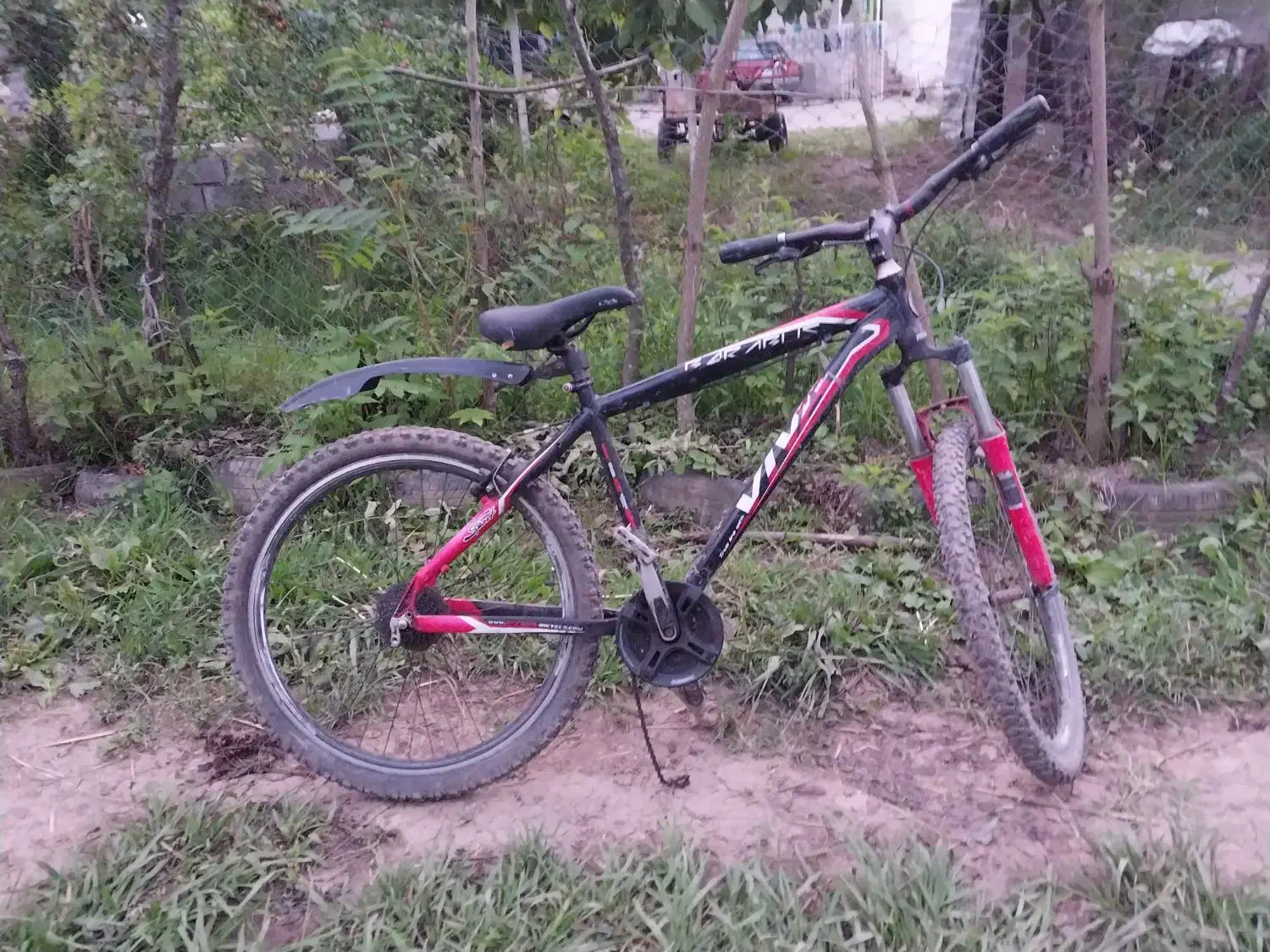 دوچرخه ۲۶فروش فوری معاوضه موتور گوساله ماده|دوچرخه، اسکیت، اسکوتر|ماسال, |دیوار