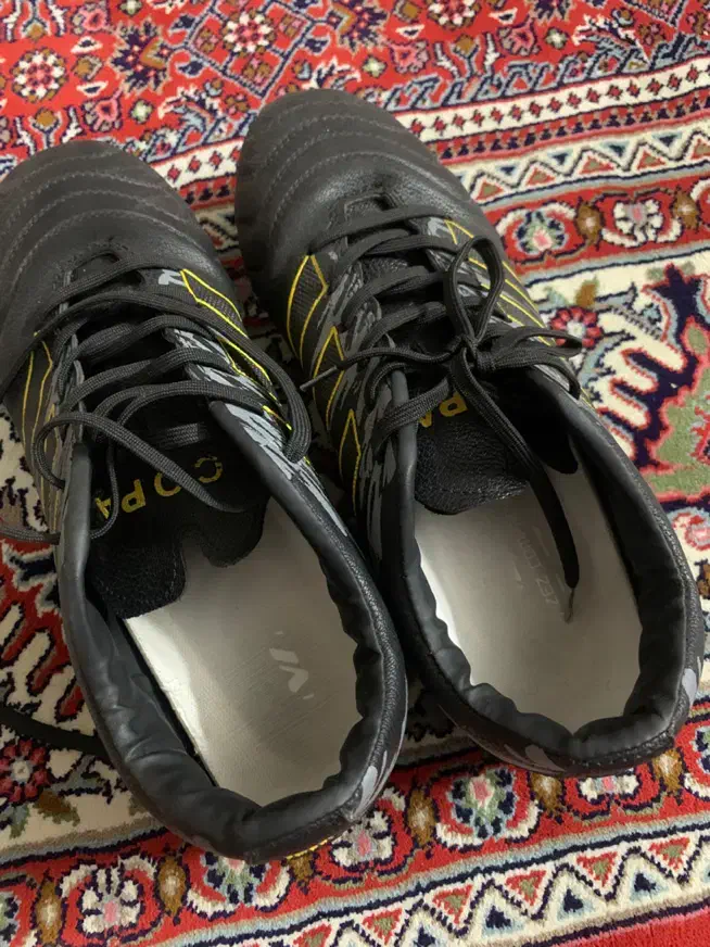 کفش فوتبال|کیف، کفش، کمربند|زنجان, |دیوار