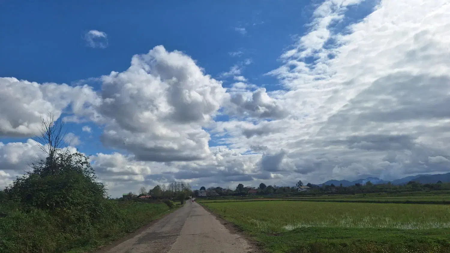 فروش زمین مسکونی سند دار|فروش زمین و ملک کلنگی|ماکلوان, |دیوار