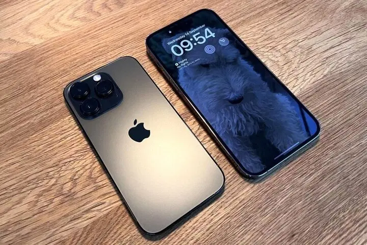 13pro max|موبایل|شیراز, کرونی(خاتونک)|دیوار