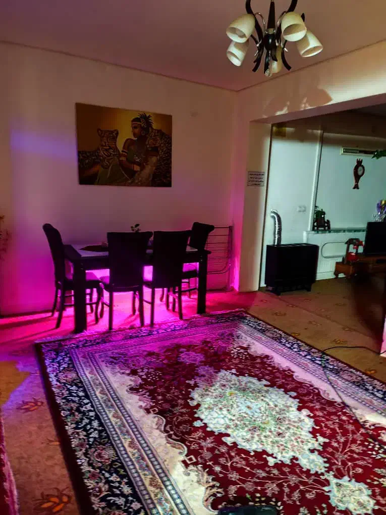 منزل مبله /اجاره روزانه/هفتگی|اجارهٔ کوتاه‌مدت آپارتمان و سوئیت|شیراز, آزادی|دیوار