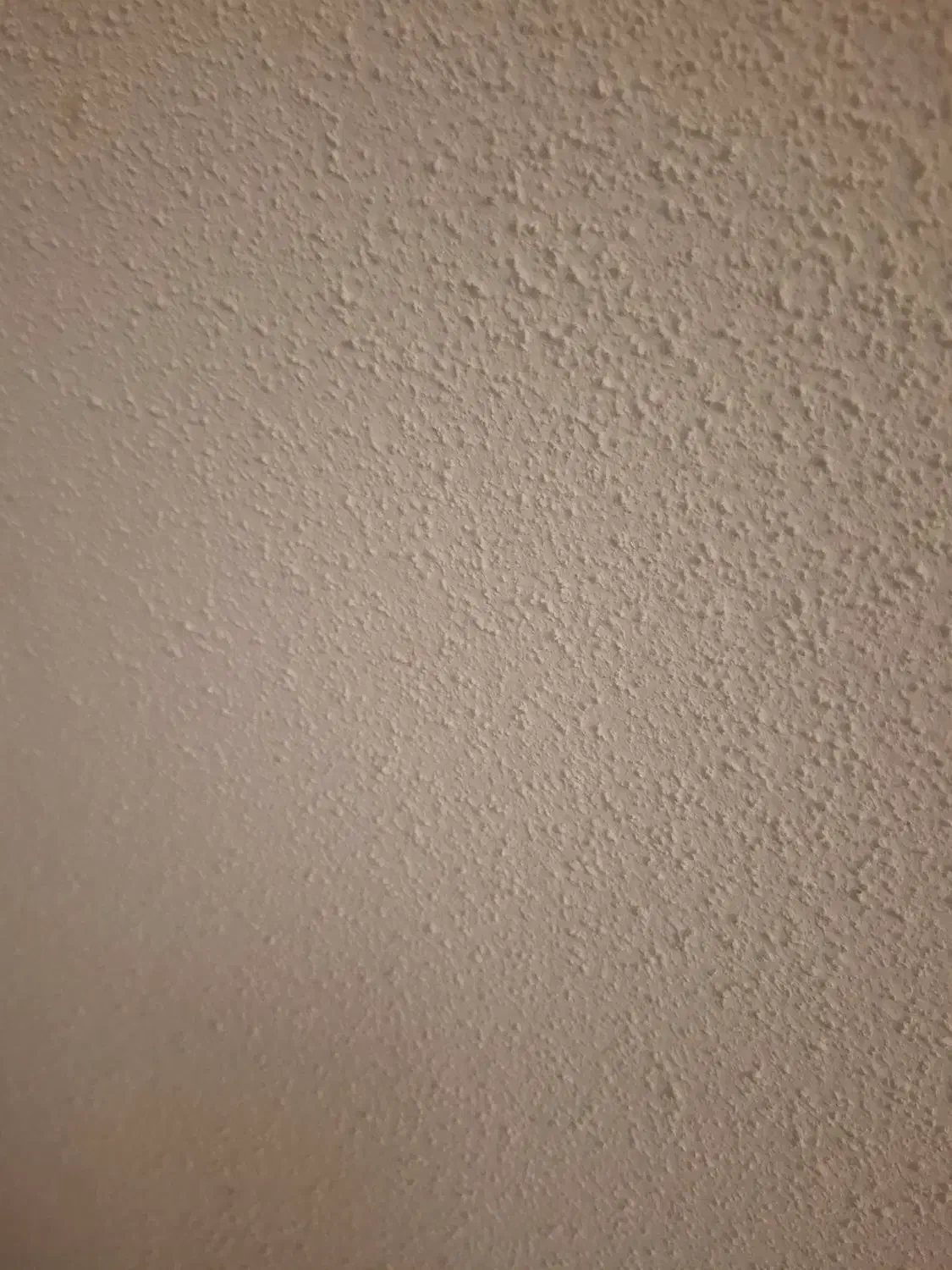 اجاره خانه۶۵متری در باهنر|اجارهٔ آپارتمان|رشت, باهنر|دیوار