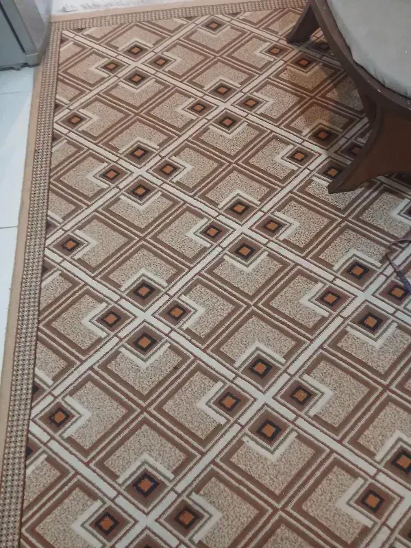 فرش آشپز خانه|فرش|مشهد, هنرور|دیوار