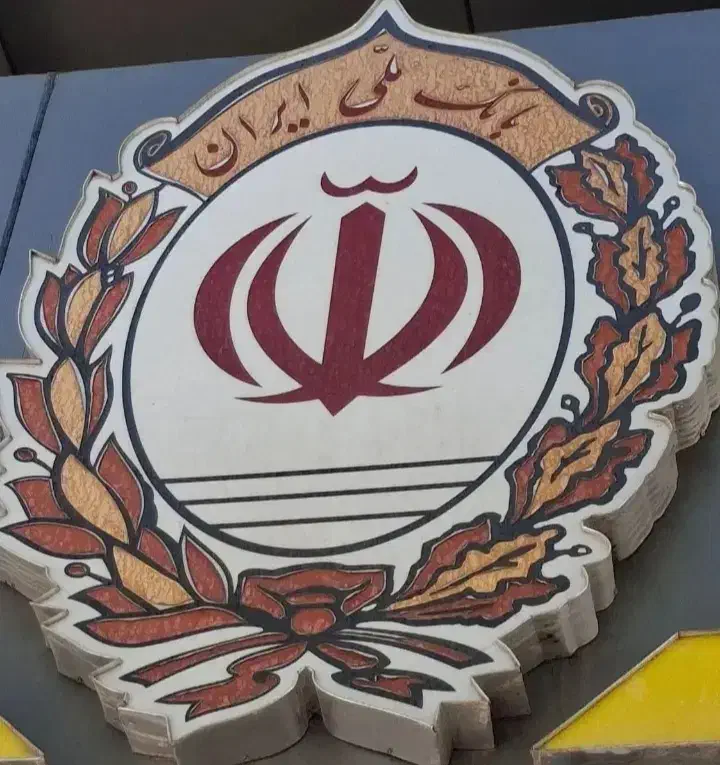 لطفا راهنمایی کنین|فعالیت داوطلبانه|کرمان, |دیوار