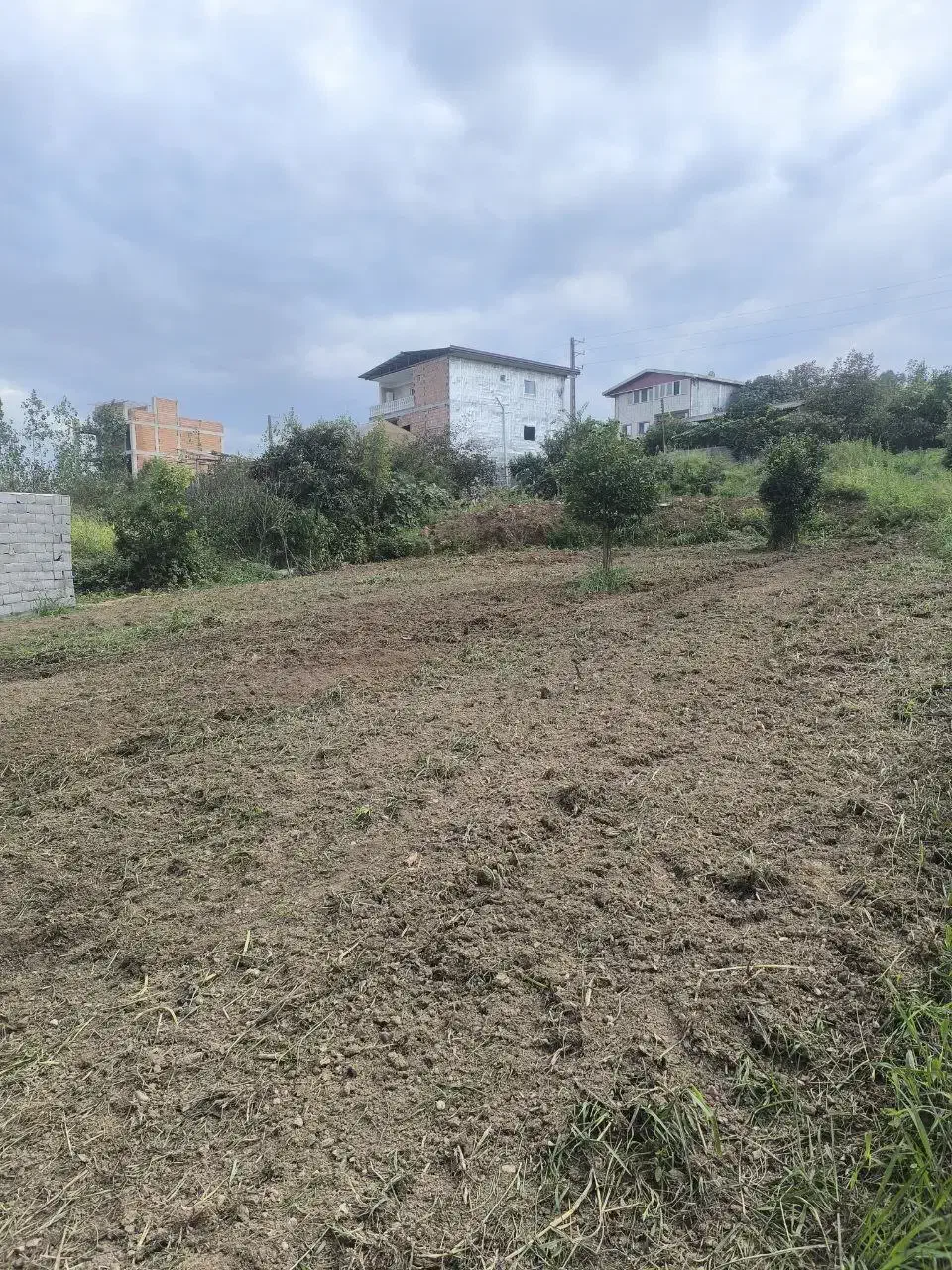 ۱۸۰ متر زمین بافت مسکونی/لفور|فروش زمین و ملک کلنگی|شیرگاه, |دیوار