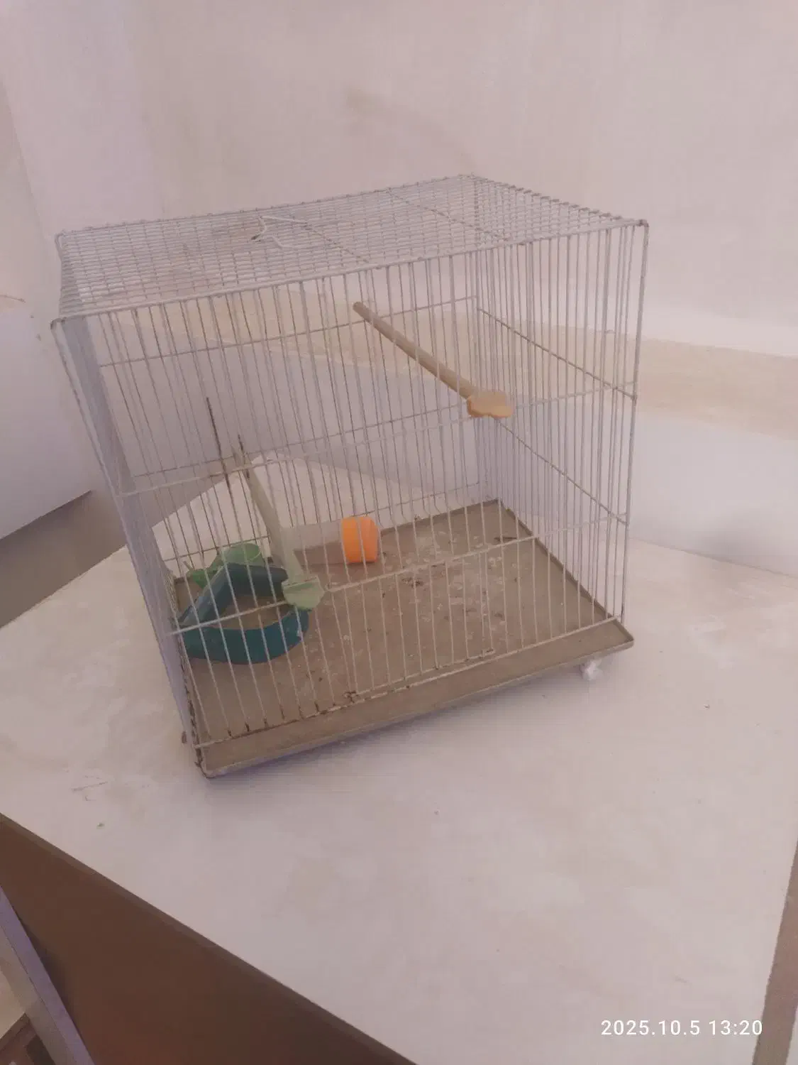 قفس پرنده|لوازم جانبی حیوانات|شیروان (خراسان), |دیوار