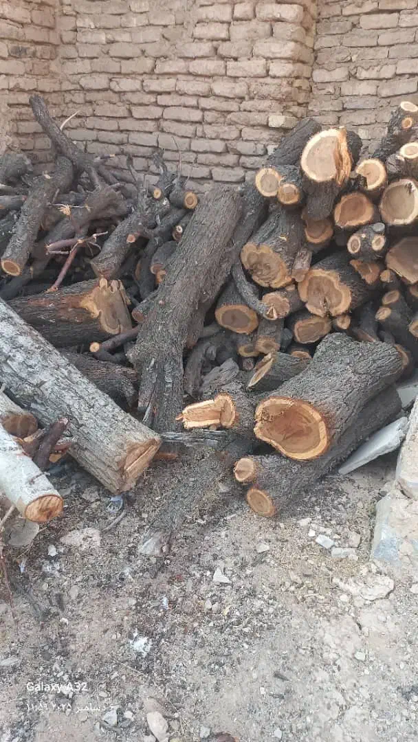 فروش جوب بادام|خدمات باغبانی و درختکاری|شهرکرد, |دیوار