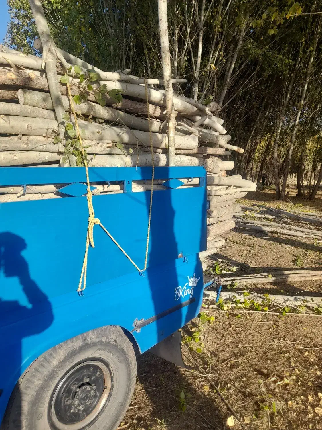 باسلام خریدارگردو صنوبرزردآلو سیب وغیره۰۰۰|خدمات باغبانی و درختکاری|نهاوند, |دیوار