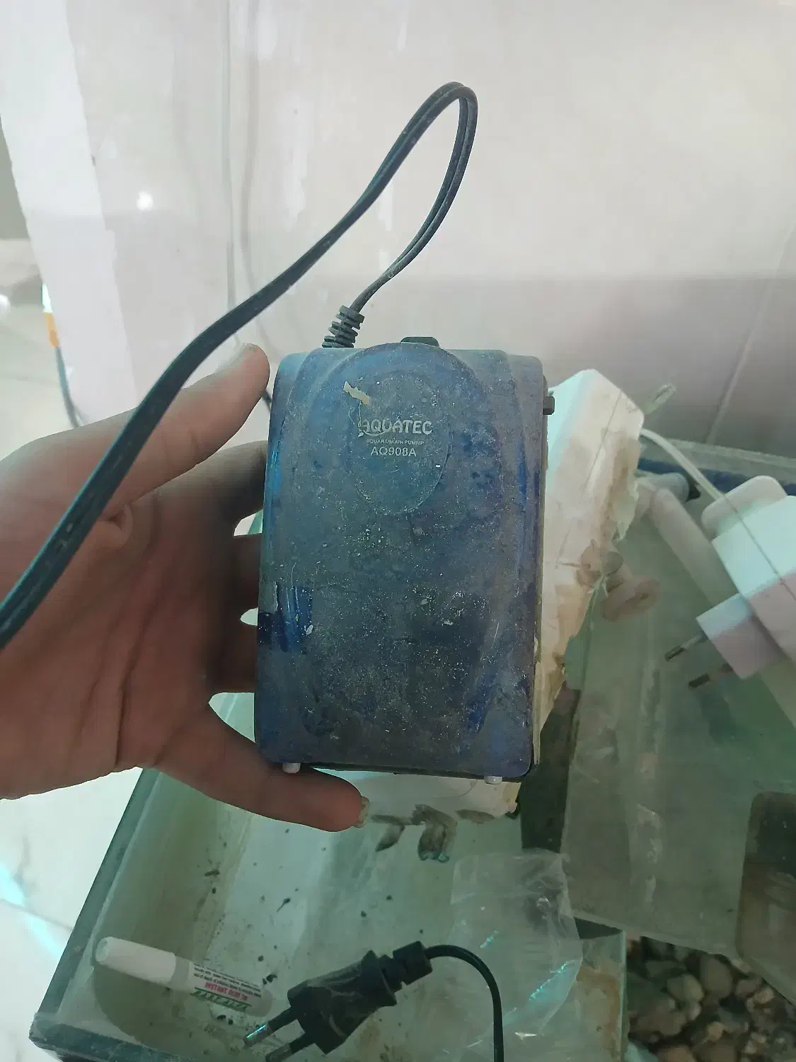 آکواریوم|ماهی|ملایر, |دیوار