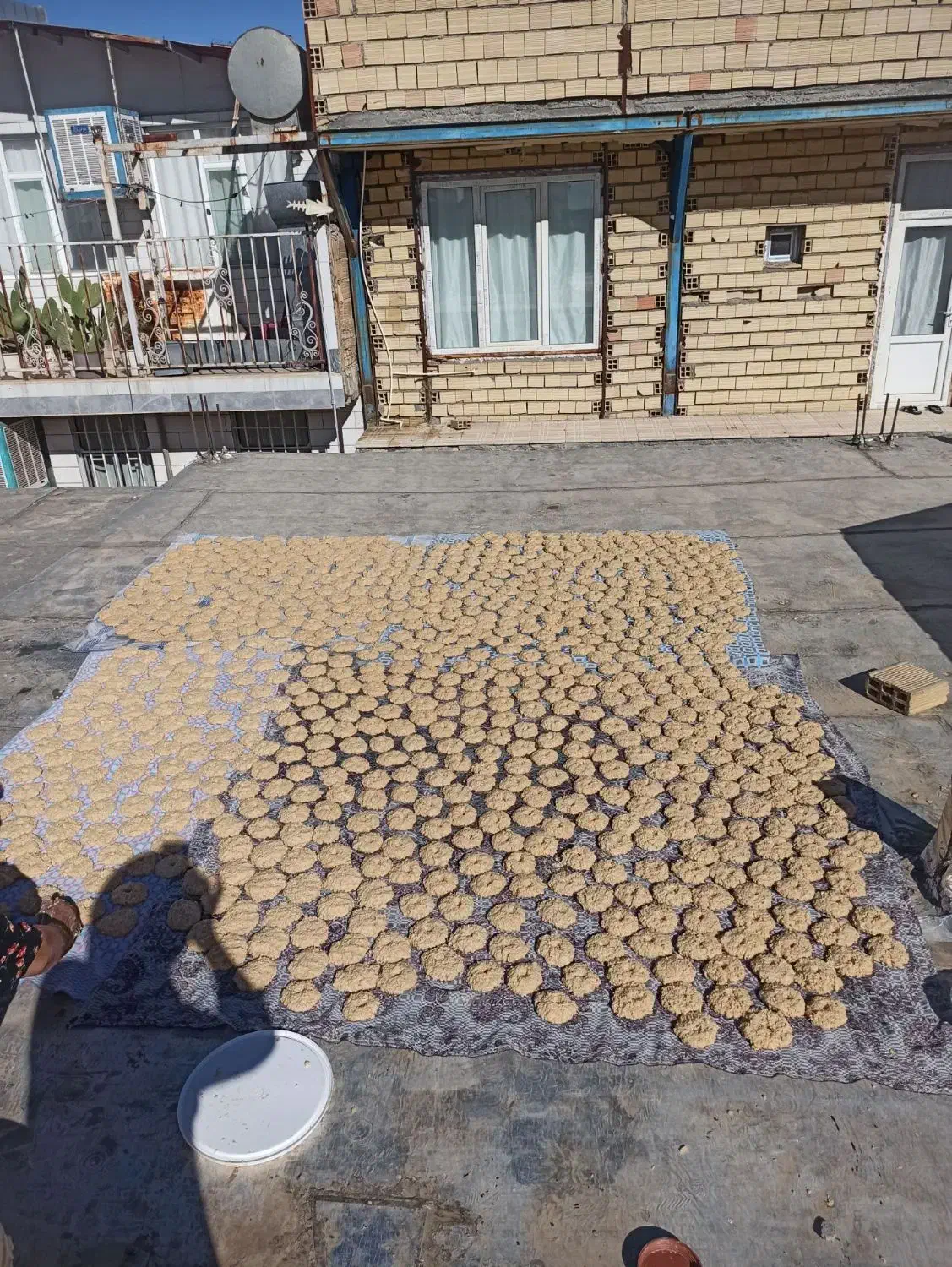 شلم خشک|عمدهفروشی|حمیل, |دیوار