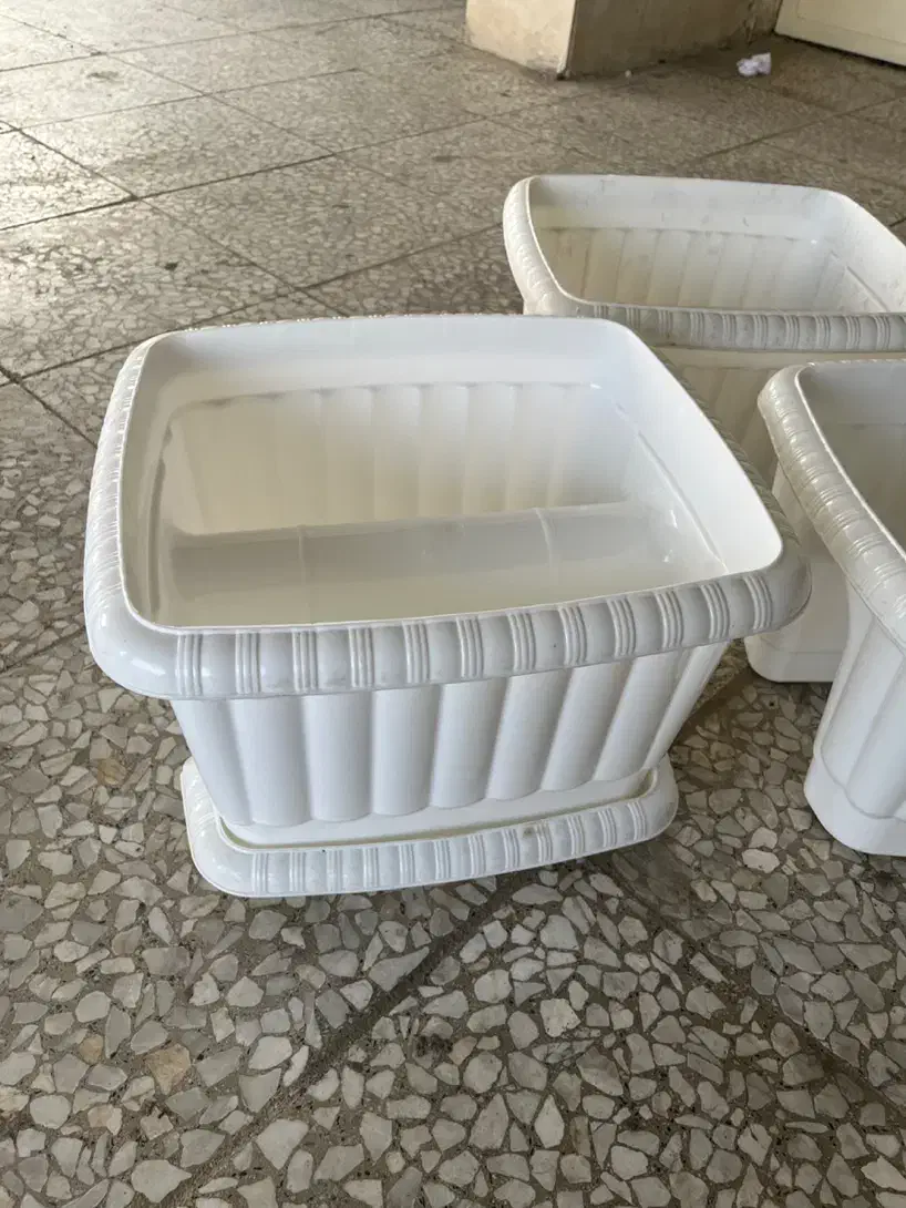 گلدان پلاستیکی نرده ای|گل و گیاه طبیعی|رشت, پل تالشان|دیوار