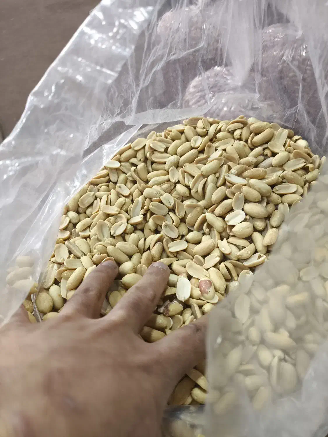 خلال بادام زمینی برای کره گیری|خوردنی و آشامیدنی|کیاشهر, |دیوار