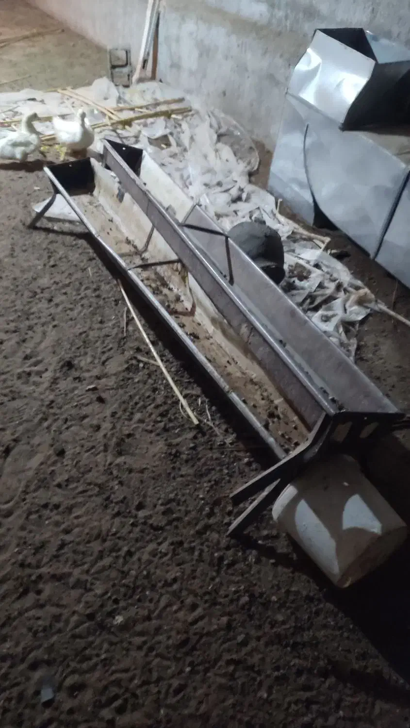 آخور و یونجه|عمدهفروشی|سبزوار, قصبه شرقی|دیوار