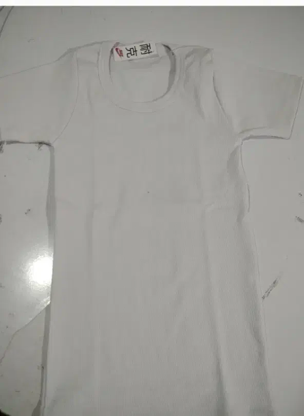 تاب زنانه/لباس زنانه/تولید و پخش پوشاک|لباس|چوبر, |دیوار