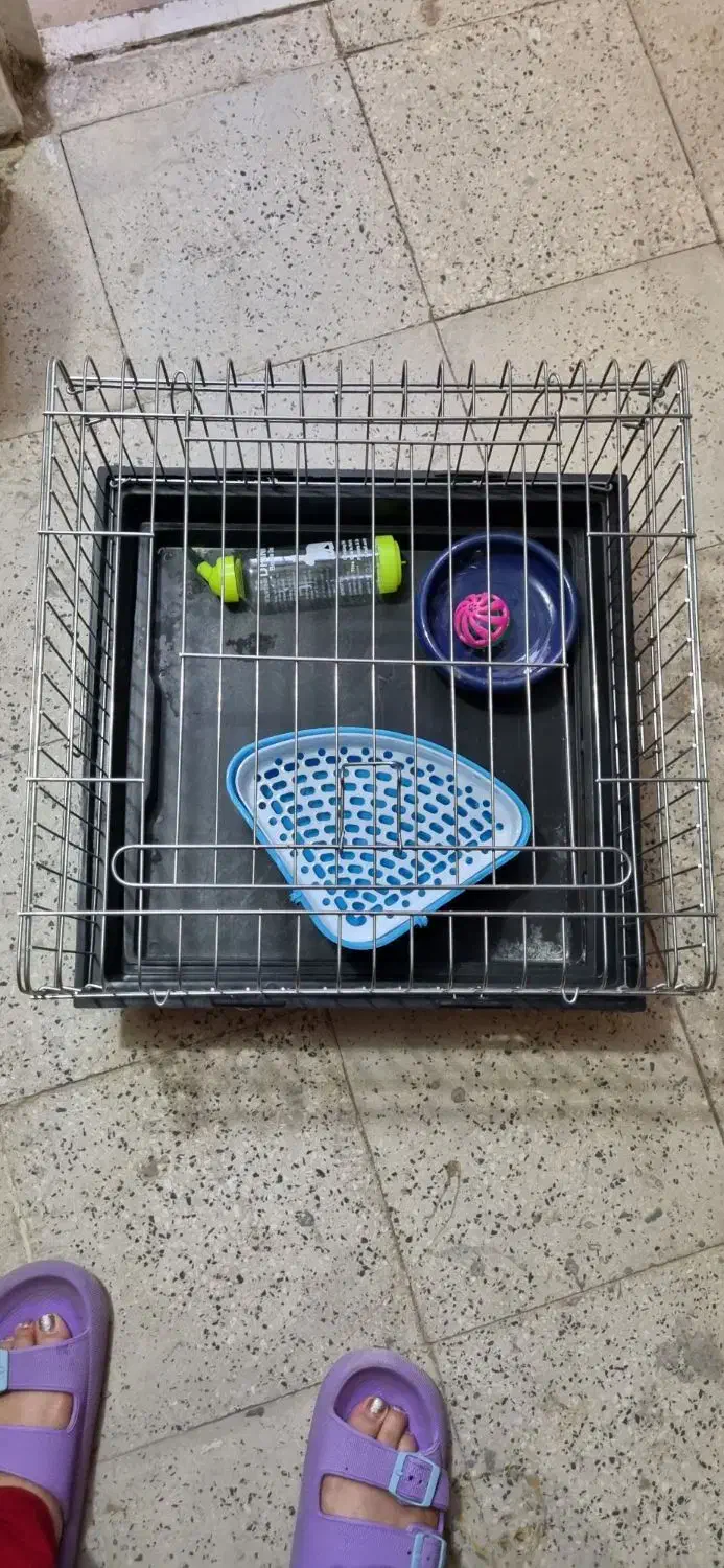 قفس خرگوش با لوازم قفس همستر قفس خوکچه هندی|لوازم جانبی حیوانات|شهریار, شهریار|دیوار