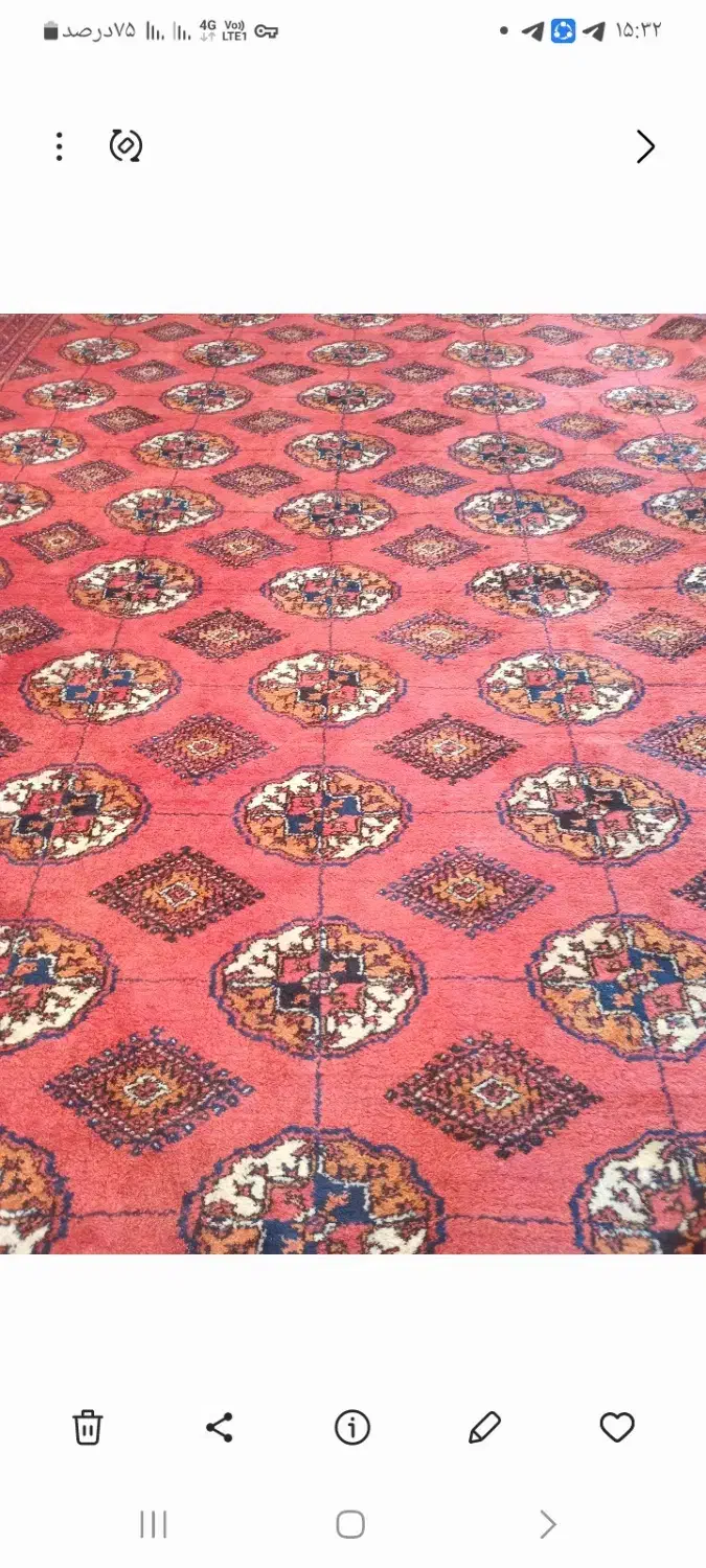 قالی ترکمنی فروشی|فرش|گنبد کاووس, |دیوار