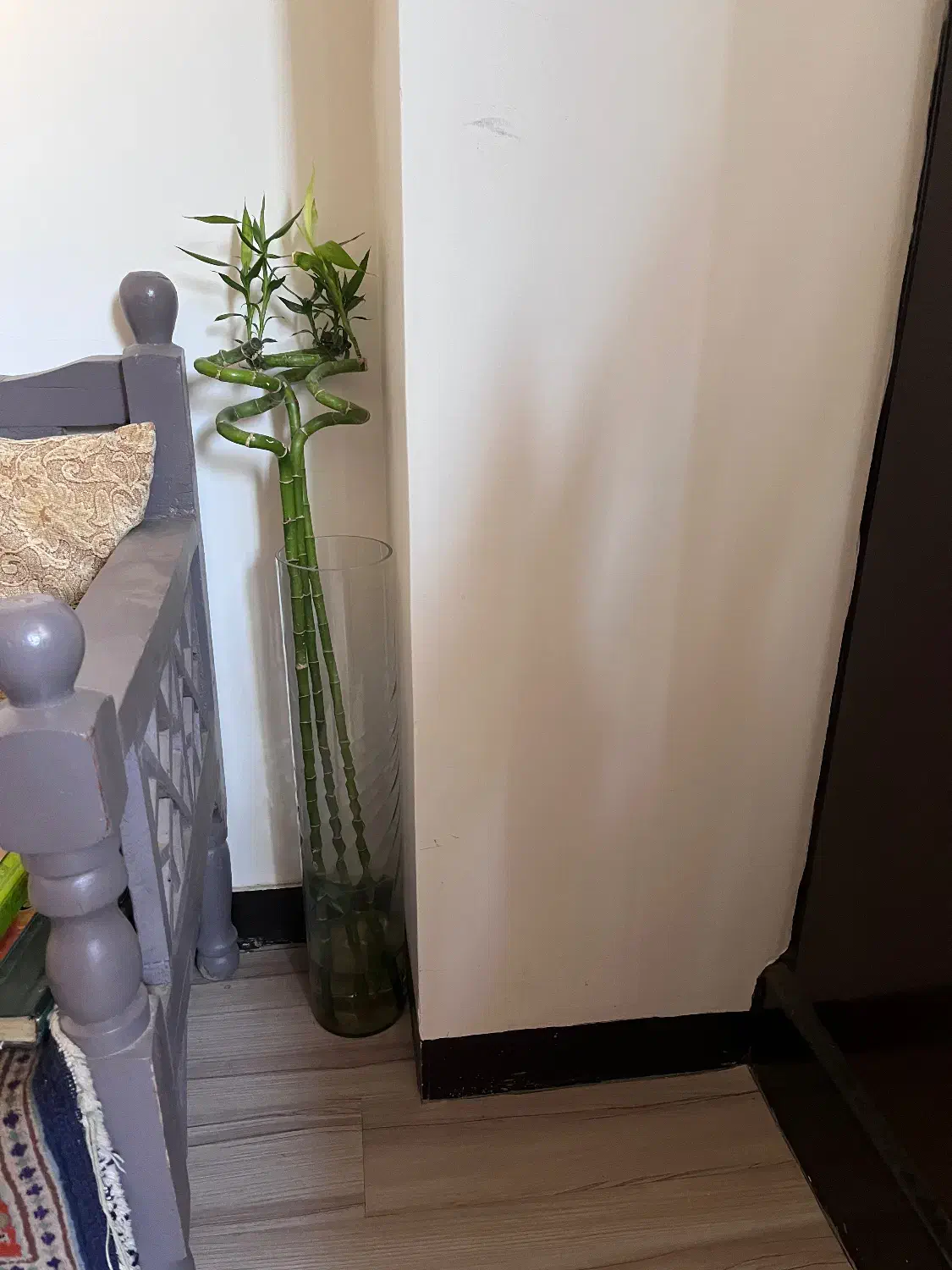 گل و گلدون|گل و گیاه طبیعی|قم, سالاریه|دیوار