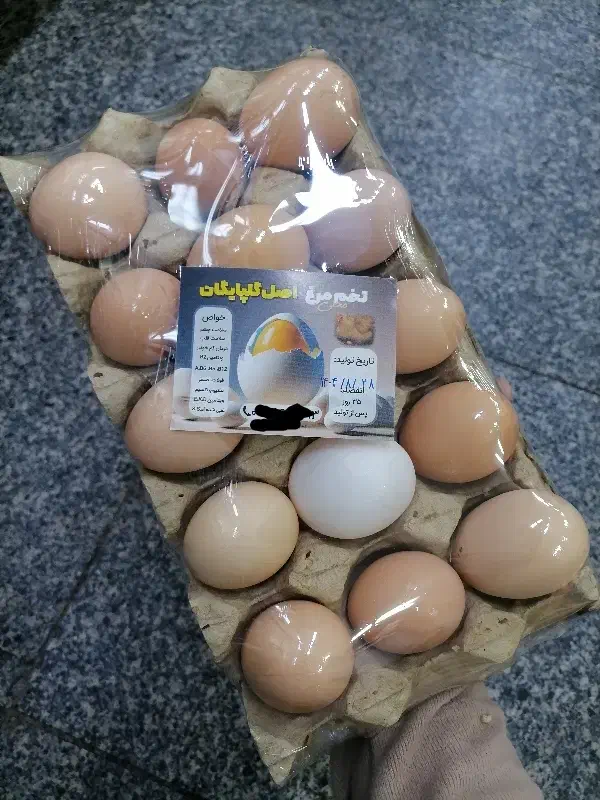 تخم مرغ محلی گلپایگان|خوردنی و آشامیدنی|قم, عمار یاسر|دیوار
